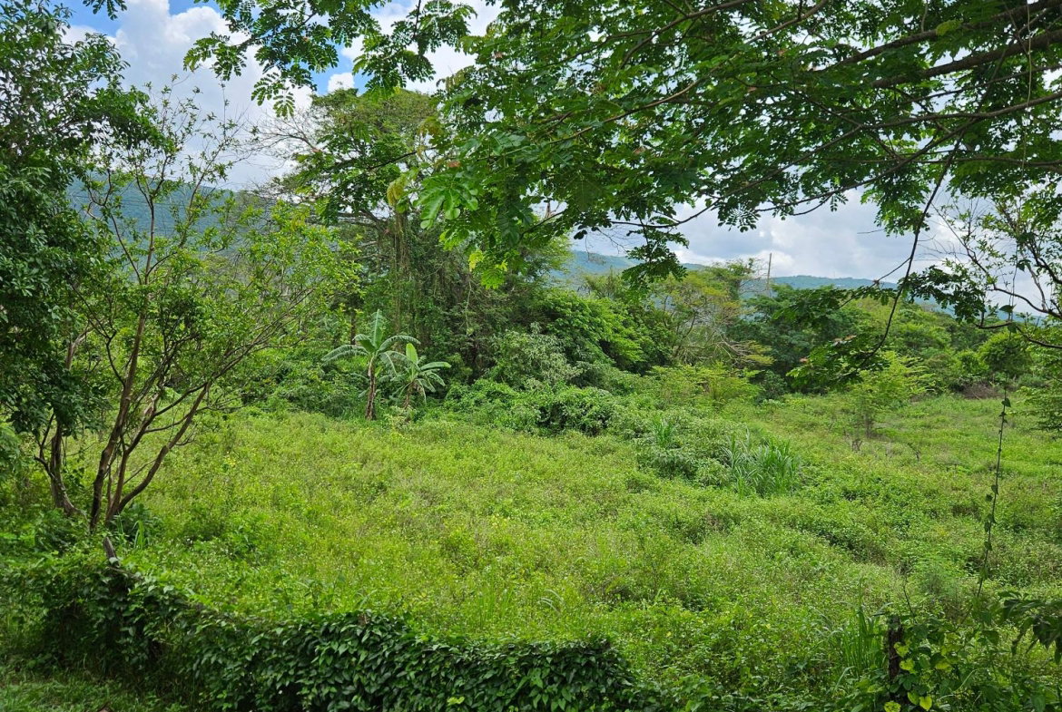 First image of Part of Pepper in Pepper, St. Elizabeth, Jamaica - property is For Sale