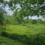 First image of Part of Pepper in Pepper, St. Elizabeth, Jamaica - property is For Sale