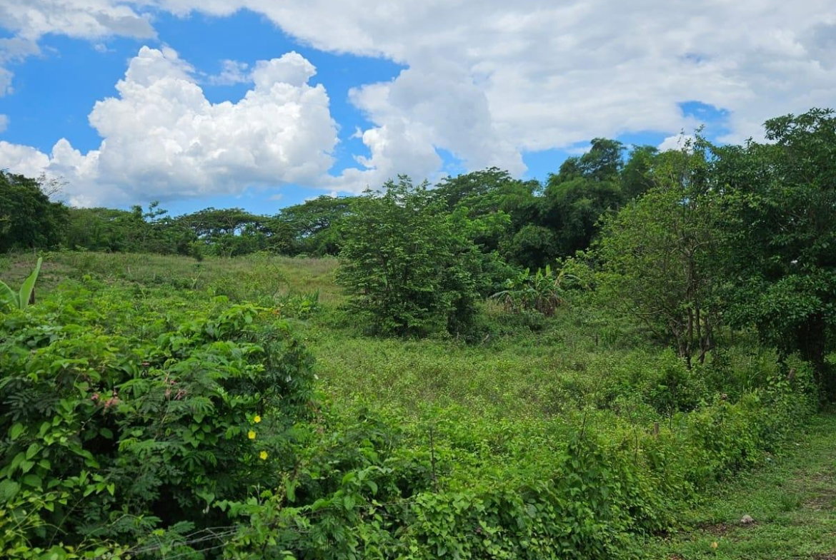Third image of Part of Pepper in Pepper, St. Elizabeth, Jamaica - property is For Sale