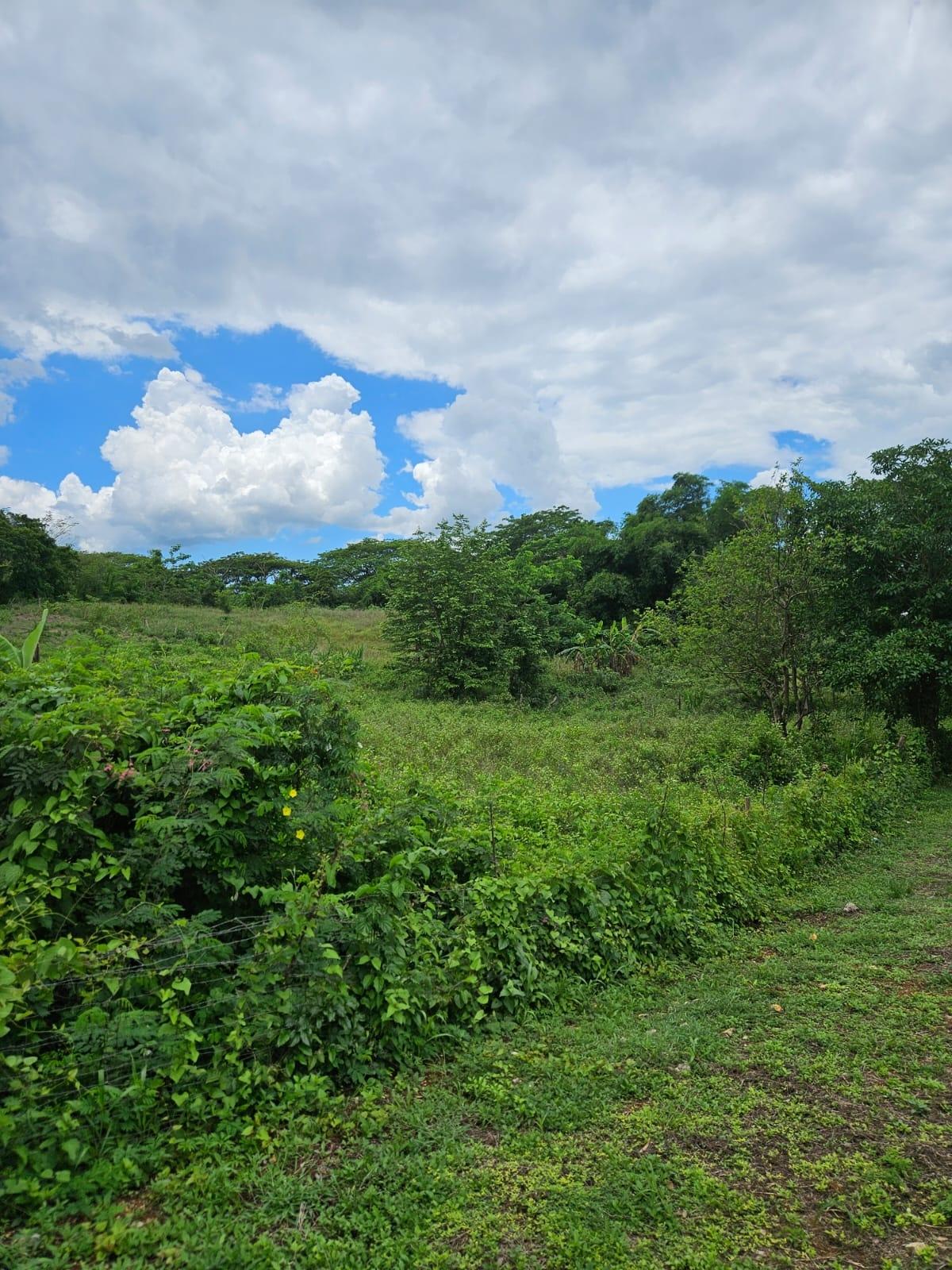 2-Acre-Residential-Lot-for-Sale-in-St.-Elizabeth-Jamaica Third image of Part of Pepper in Pepper, St. Elizabeth, Jamaica - property is For Sale