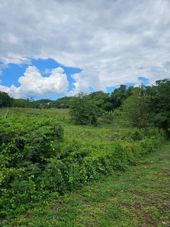 Third image of Part of Pepper in Pepper, St. Elizabeth, Jamaica - property is For Sale