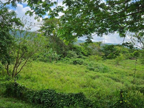 First image of Part of Pepper in Pepper, St. Elizabeth, Jamaica - property is For Sale