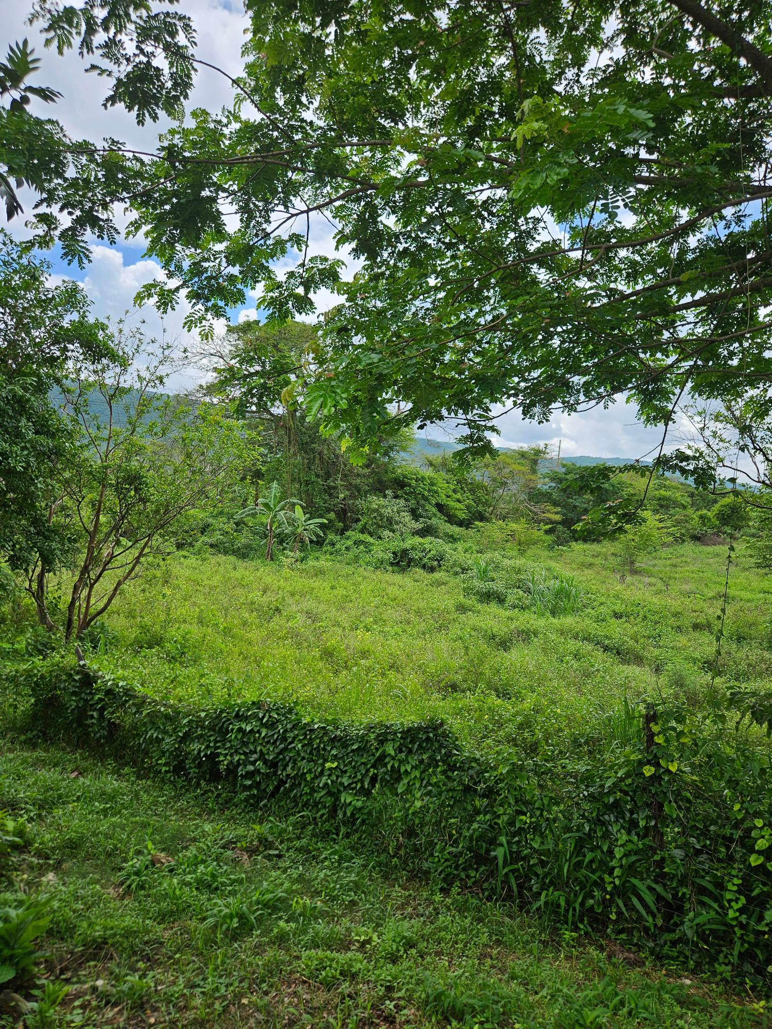 2-Acre-Residential-Lot-for-Sale-in-St.-Elizabeth-Jamaica First image of Part of Pepper in Pepper, St. Elizabeth, Jamaica - property is For Sale