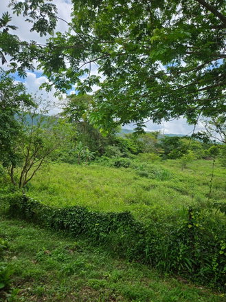 First image of Part of Pepper in Pepper, St. Elizabeth, Jamaica - property is For Sale