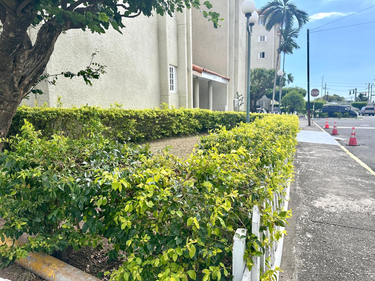 Fourth image of 114 Constant Spring Road in Kingston 8, St. Andrew, Jamaica - property is For Sale