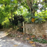 First image of Troja St. Catherine in Troja, St. Catherine, Jamaica - property is For Sale