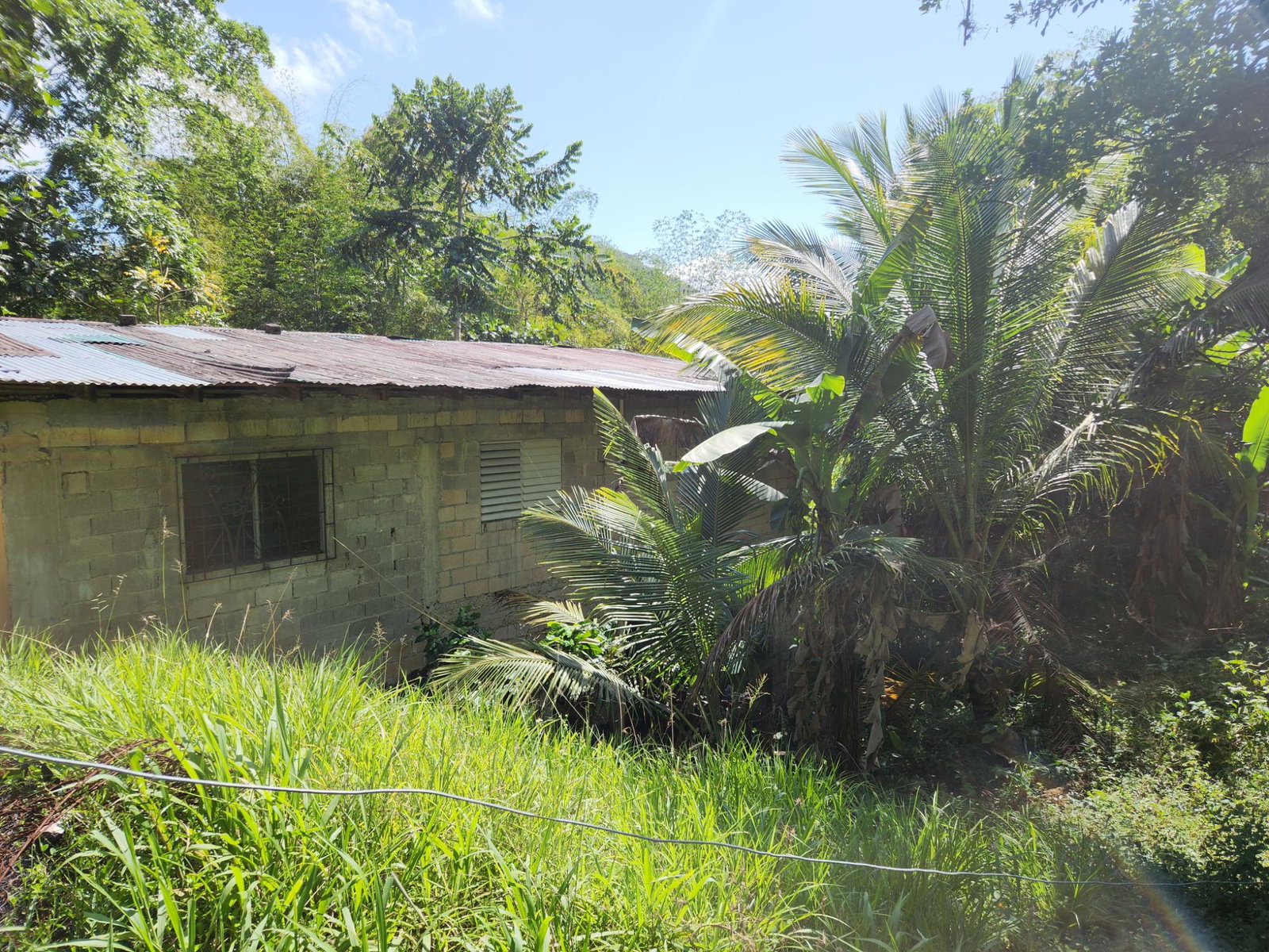 Sixth image of Troja St. Catherine in Troja, St. Catherine, Jamaica - property is For Sale