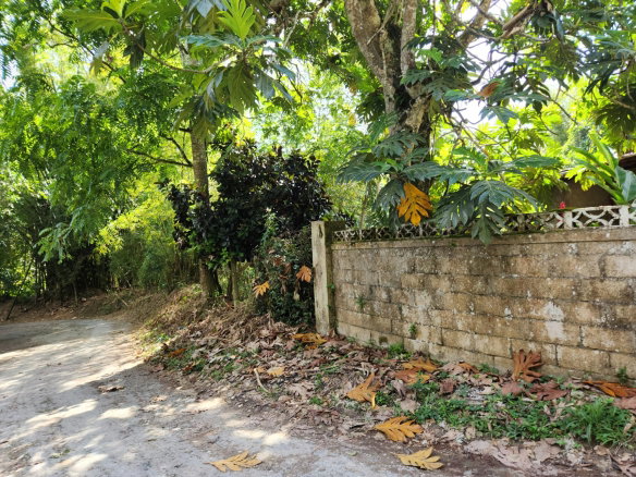 First image of Troja St. Catherine in Troja, St. Catherine, Jamaica - property is For Sale