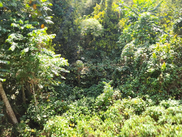 Seventh image of Troja St. Catherine in Troja, St. Catherine, Jamaica - property is For Sale