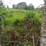 First image of 2 Union Pen in Ocho Rios, St. Ann, Jamaica - property is For Sale