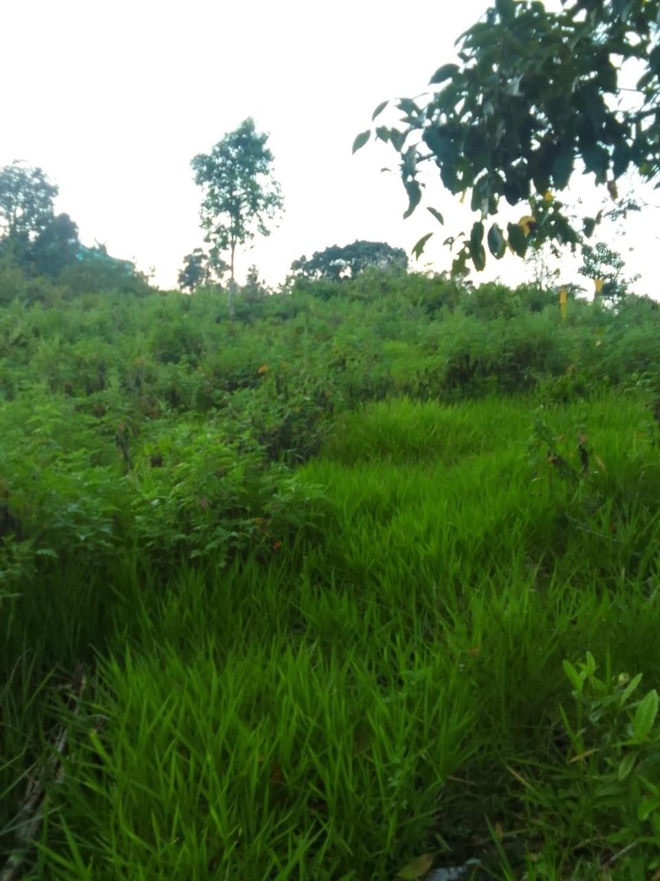 Third image of 2 Union Pen in Ocho Rios, St. Ann, Jamaica - property is For Sale