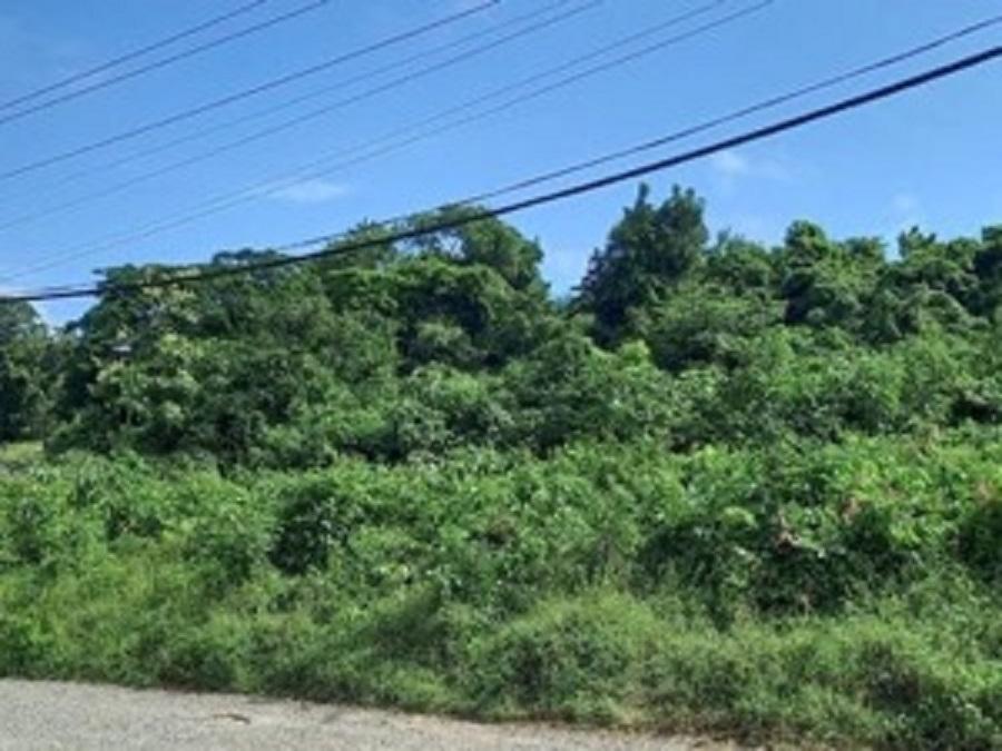 Second image of Somerton St, Lima Est ja in Somerton, St. James, Jamaica - property is For Sale