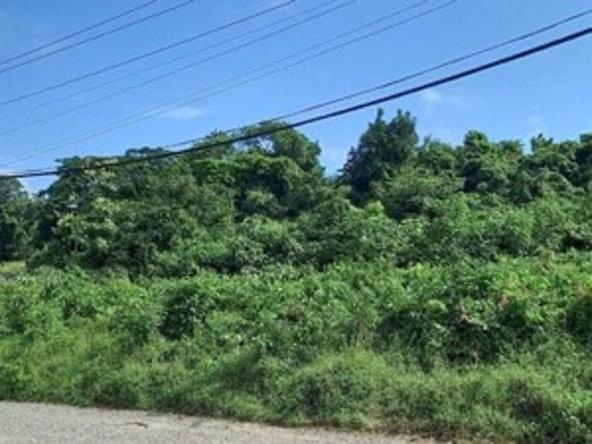 Second image of Somerton St, Lima Est ja in Somerton, St. James, Jamaica - property is For Sale