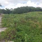 First image of Somerton St, Lima Est ja in Somerton, St. James, Jamaica - property is For Sale