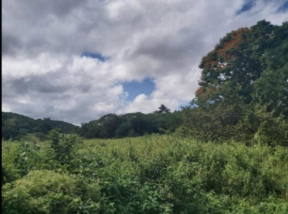 Third image of Somerton St, Lima Est ja in Somerton, St. James, Jamaica - property is For Sale