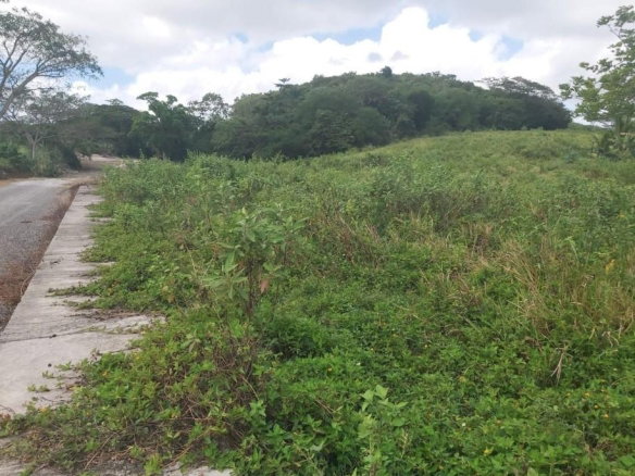 First image of Somerton St, Lima Est ja in Somerton, St. James, Jamaica - property is For Sale
