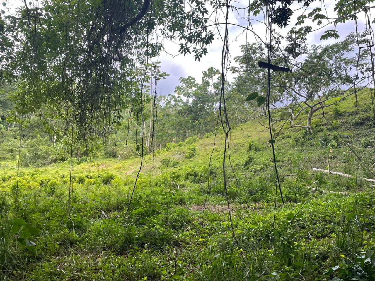 Second image of 3 Fort George in Enfield, St. Mary, Jamaica - property is For Sale