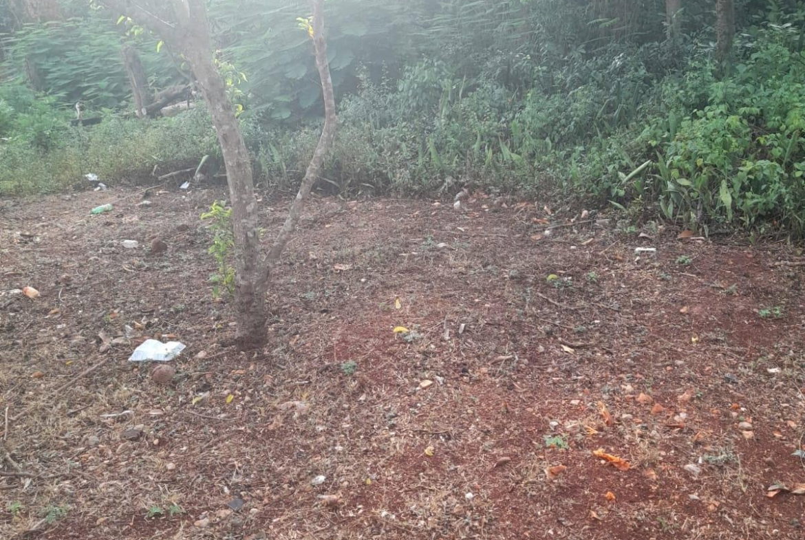 Sixth image of Dover, Lloyds Content in Dover, St. Catherine, Jamaica - property is For Sale