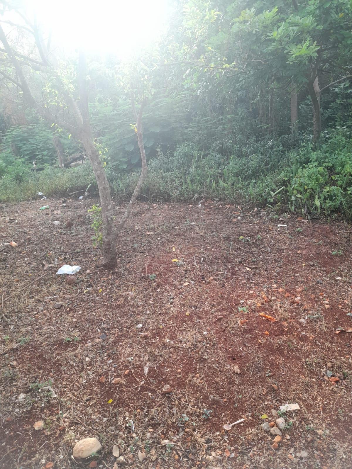 Sixth image of Dover, Lloyds Content in Dover, St. Catherine, Jamaica - property is For Sale