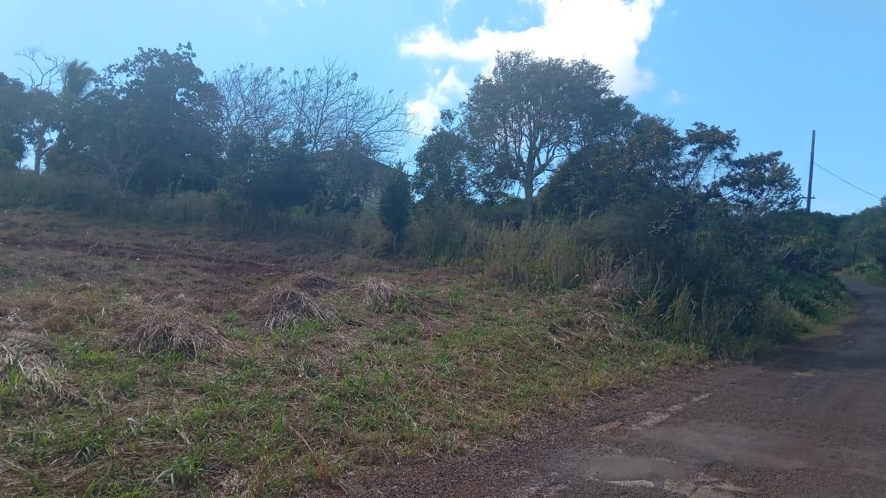 Second image of Potsdam St. Elizabeth in Munroe College, St. Elizabeth, Jamaica - property is For Sale