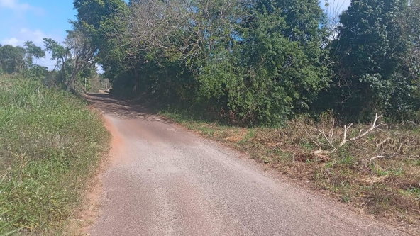 Thirteenth image of Potsdam St. Elizabeth in Munroe College, St. Elizabeth, Jamaica - property is For Sale
