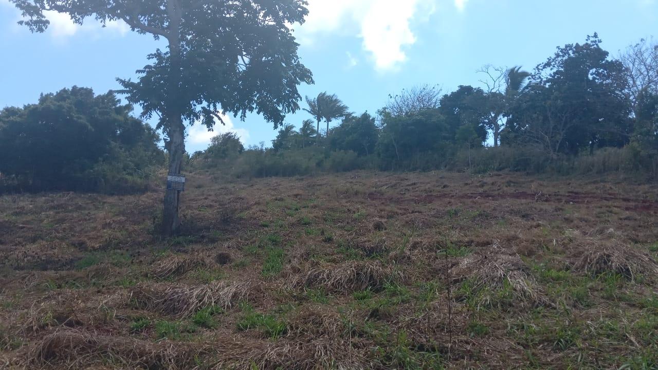 Third image of Potsdam St. Elizabeth in Munroe College, St. Elizabeth, Jamaica - property is For Sale