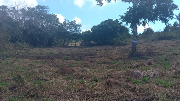 Fourth image of Potsdam St. Elizabeth in Munroe College, St. Elizabeth, Jamaica - property is For Sale