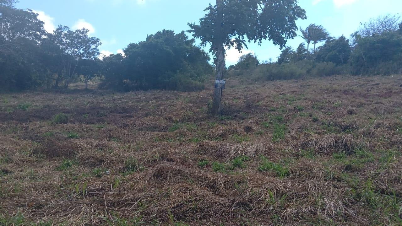 Fifth image of Potsdam St. Elizabeth in Munroe College, St. Elizabeth, Jamaica - property is For Sale