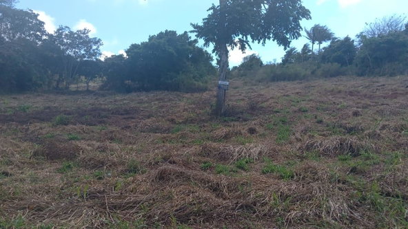 Fifth image of Potsdam St. Elizabeth in Munroe College, St. Elizabeth, Jamaica - property is For Sale