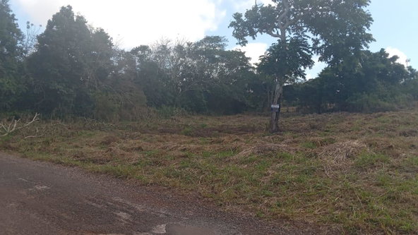 Seventh image of Potsdam St. Elizabeth in Munroe College, St. Elizabeth, Jamaica - property is For Sale