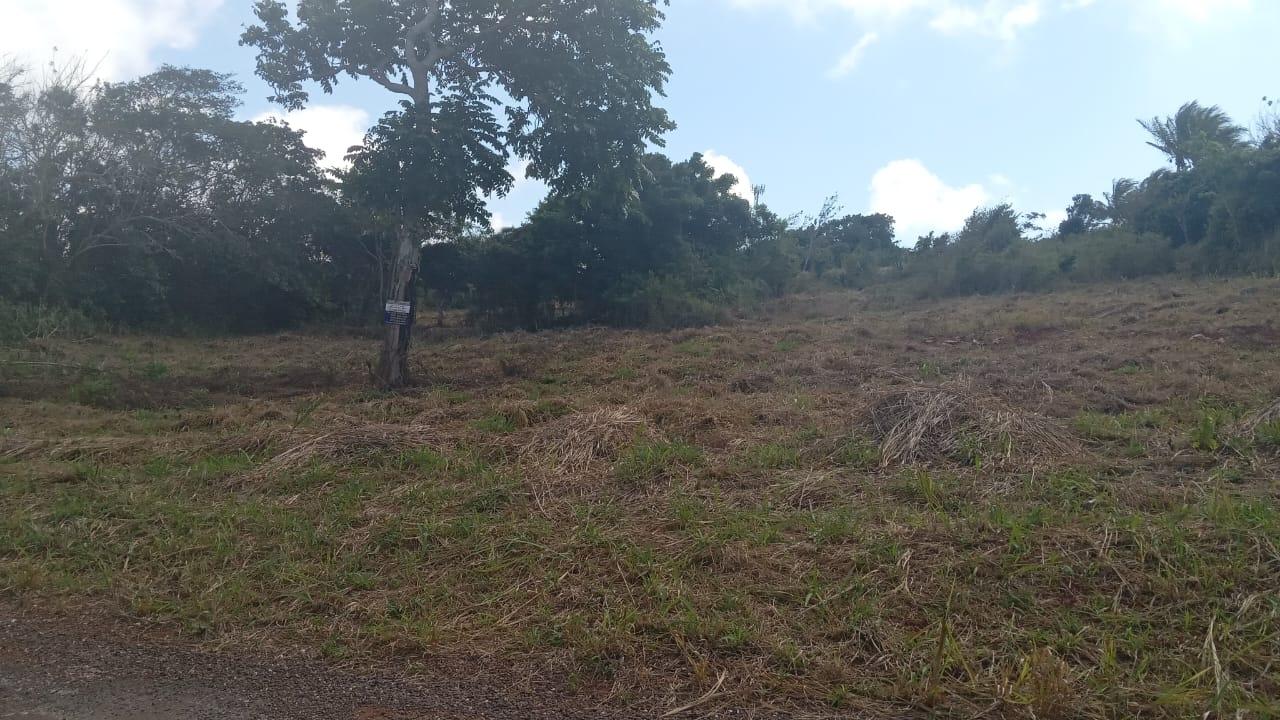 Eighth image of Potsdam St. Elizabeth in Munroe College, St. Elizabeth, Jamaica - property is For Sale