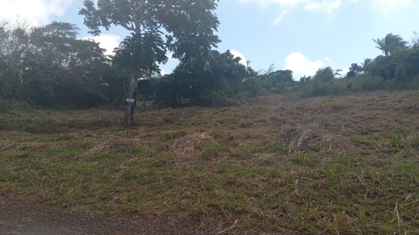 Eighth image of Potsdam St. Elizabeth in Munroe College, St. Elizabeth, Jamaica - property is For Sale