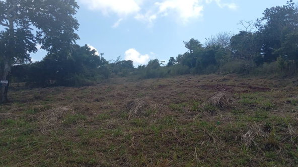 Ninth image of Potsdam St. Elizabeth in Munroe College, St. Elizabeth, Jamaica - property is For Sale