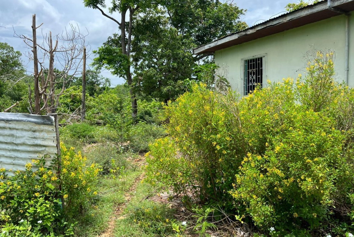 Second image of 77 Palmetto Pen, Sandy Bay, in Palmetto Pen, Clarendon, Jamaica - property is For Sale