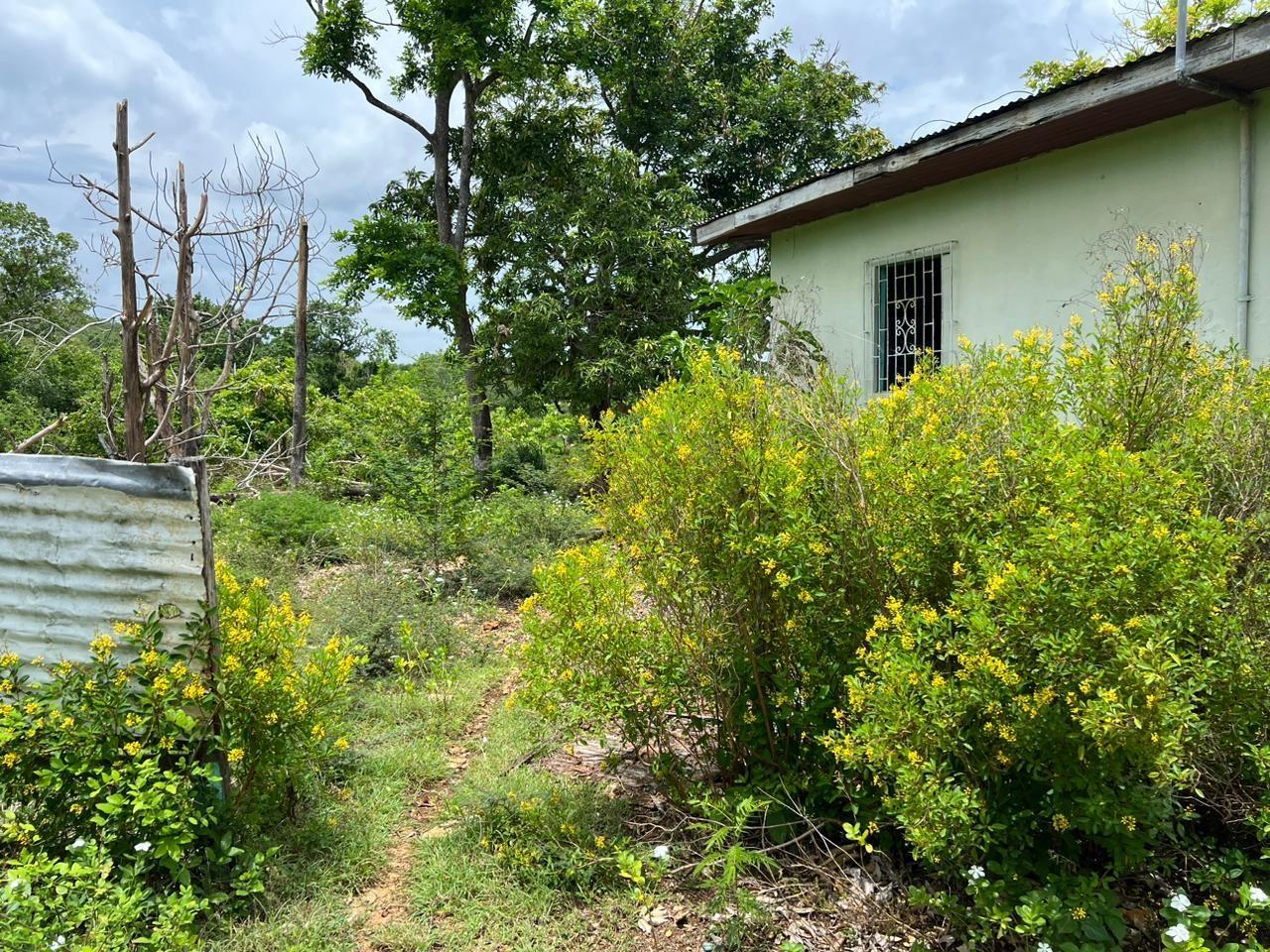 Second image of 77 Palmetto Pen, Sandy Bay, in Palmetto Pen, Clarendon, Jamaica - property is For Sale