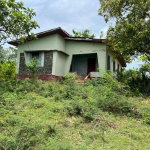 First image of 77 Palmetto Pen, Sandy Bay, in Palmetto Pen, Clarendon, Jamaica - property is For Sale