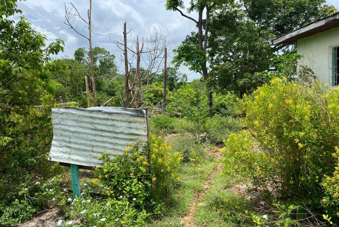 Third image of 77 Palmetto Pen, Sandy Bay, in Palmetto Pen, Clarendon, Jamaica - property is For Sale