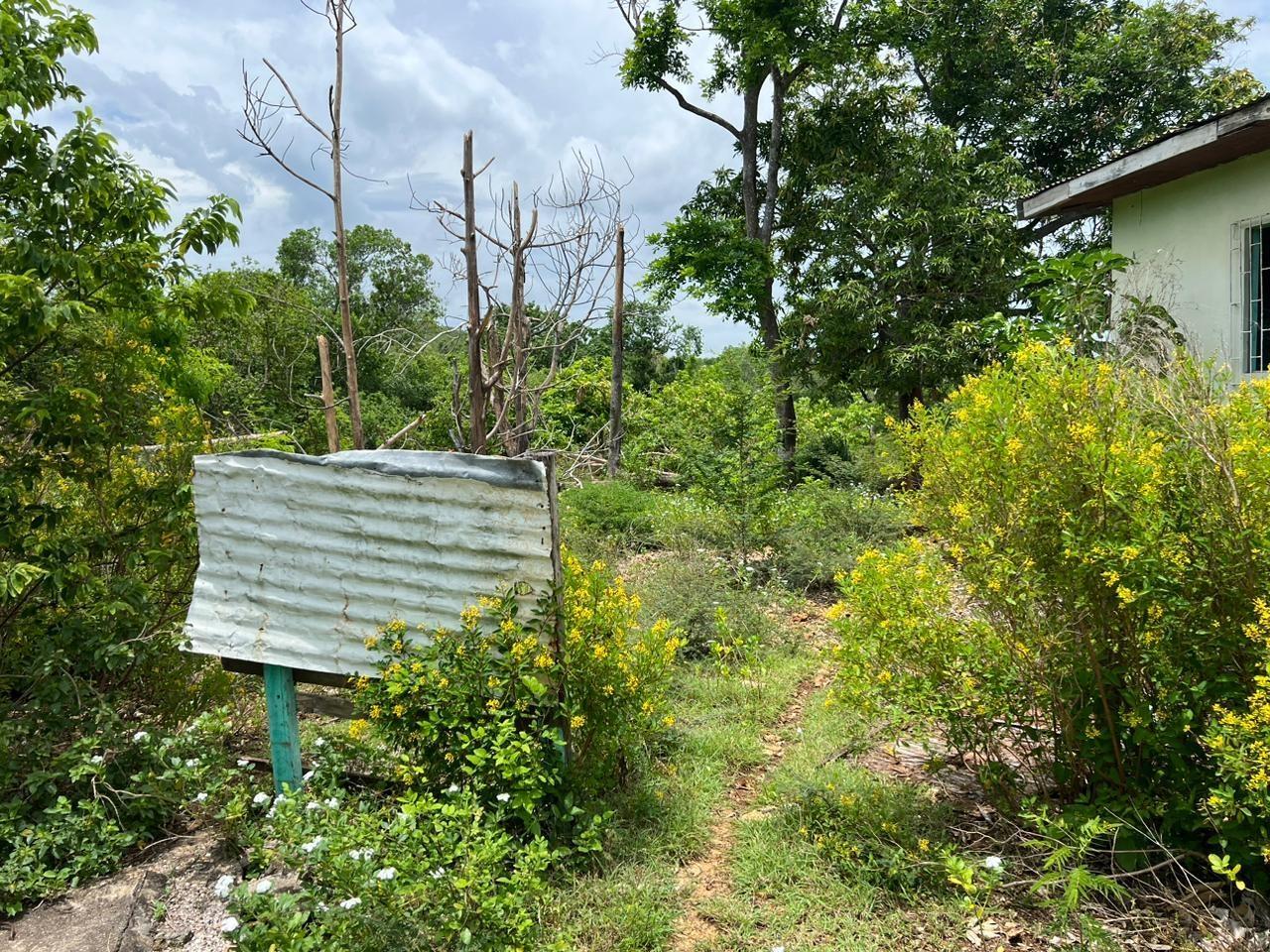 Third image of 77 Palmetto Pen, Sandy Bay, in Palmetto Pen, Clarendon, Jamaica - property is For Sale