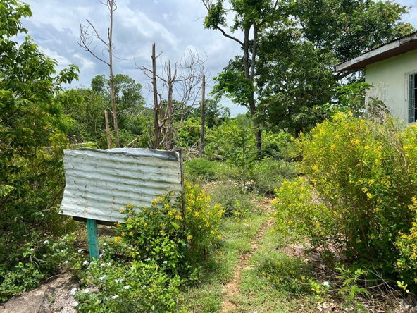 Third image of 77 Palmetto Pen, Sandy Bay, in Palmetto Pen, Clarendon, Jamaica - property is For Sale