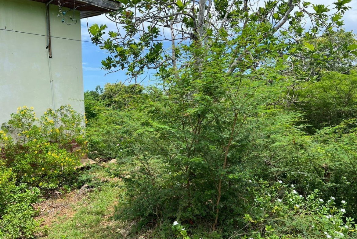 Fourth image of 77 Palmetto Pen, Sandy Bay, in Palmetto Pen, Clarendon, Jamaica - property is For Sale