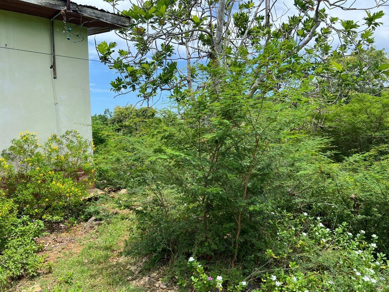 Fourth image of 77 Palmetto Pen, Sandy Bay, in Palmetto Pen, Clarendon, Jamaica - property is For Sale