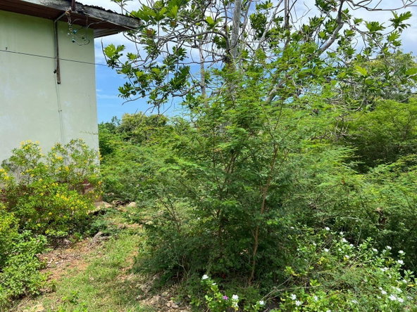 Fourth image of 77 Palmetto Pen, Sandy Bay, in Palmetto Pen, Clarendon, Jamaica - property is For Sale