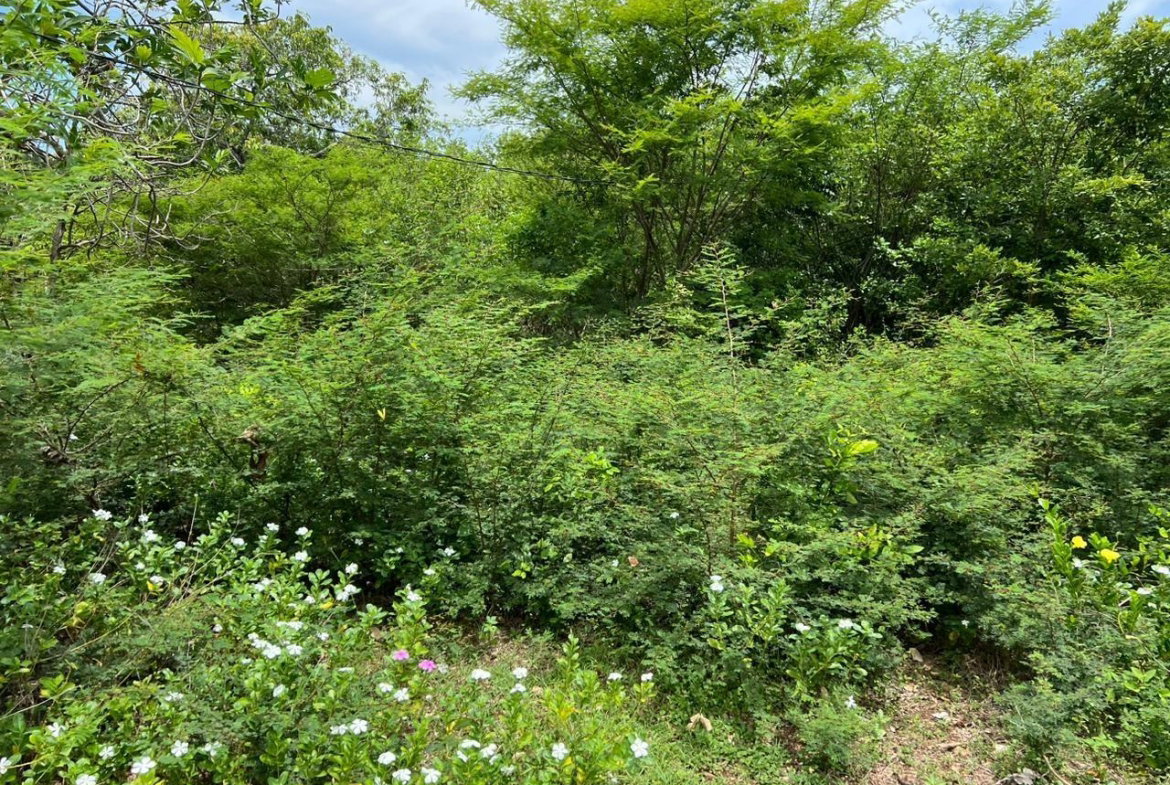 Fifth image of 77 Palmetto Pen, Sandy Bay, in Palmetto Pen, Clarendon, Jamaica - property is For Sale