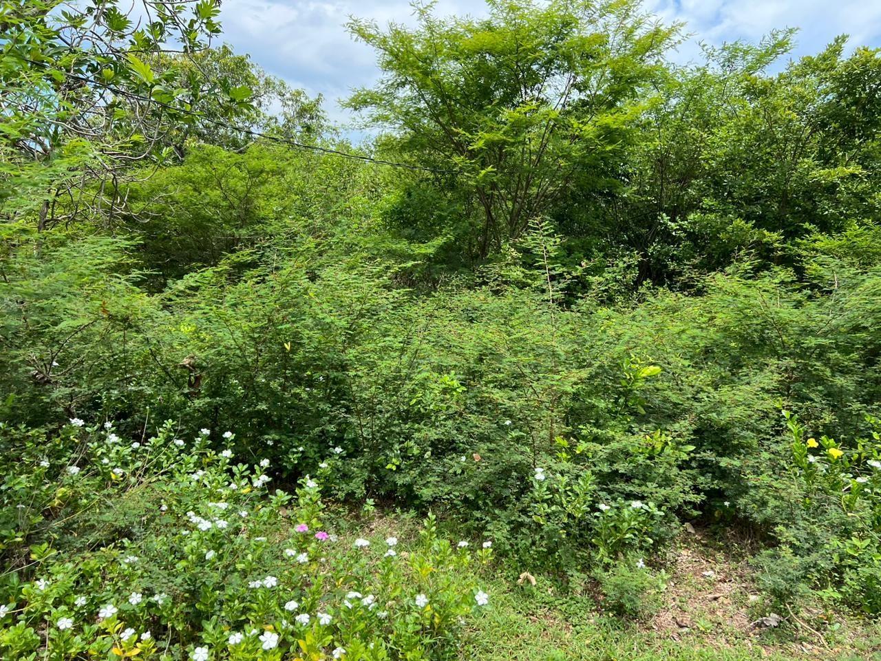 Fifth image of 77 Palmetto Pen, Sandy Bay, in Palmetto Pen, Clarendon, Jamaica - property is For Sale