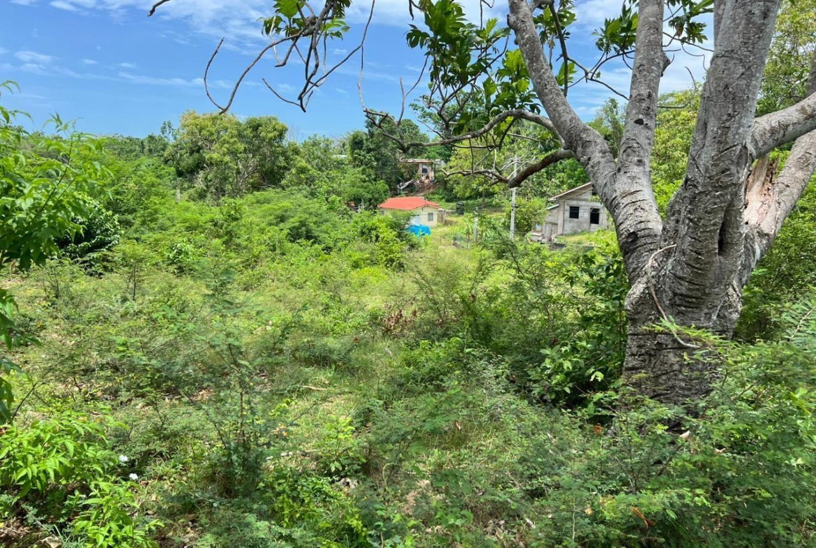 Ninth image of 77 Palmetto Pen, Sandy Bay, in Palmetto Pen, Clarendon, Jamaica - property is For Sale