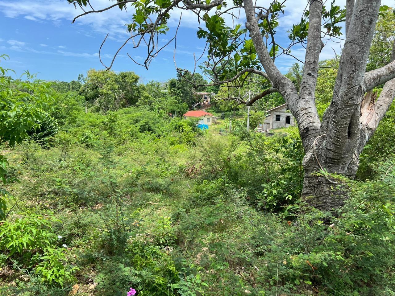 Ninth image of 77 Palmetto Pen, Sandy Bay, in Palmetto Pen, Clarendon, Jamaica - property is For Sale