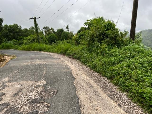Seventh image of 148 Land Part of Kellets in Kellits, Clarendon, Jamaica - property is For Sale