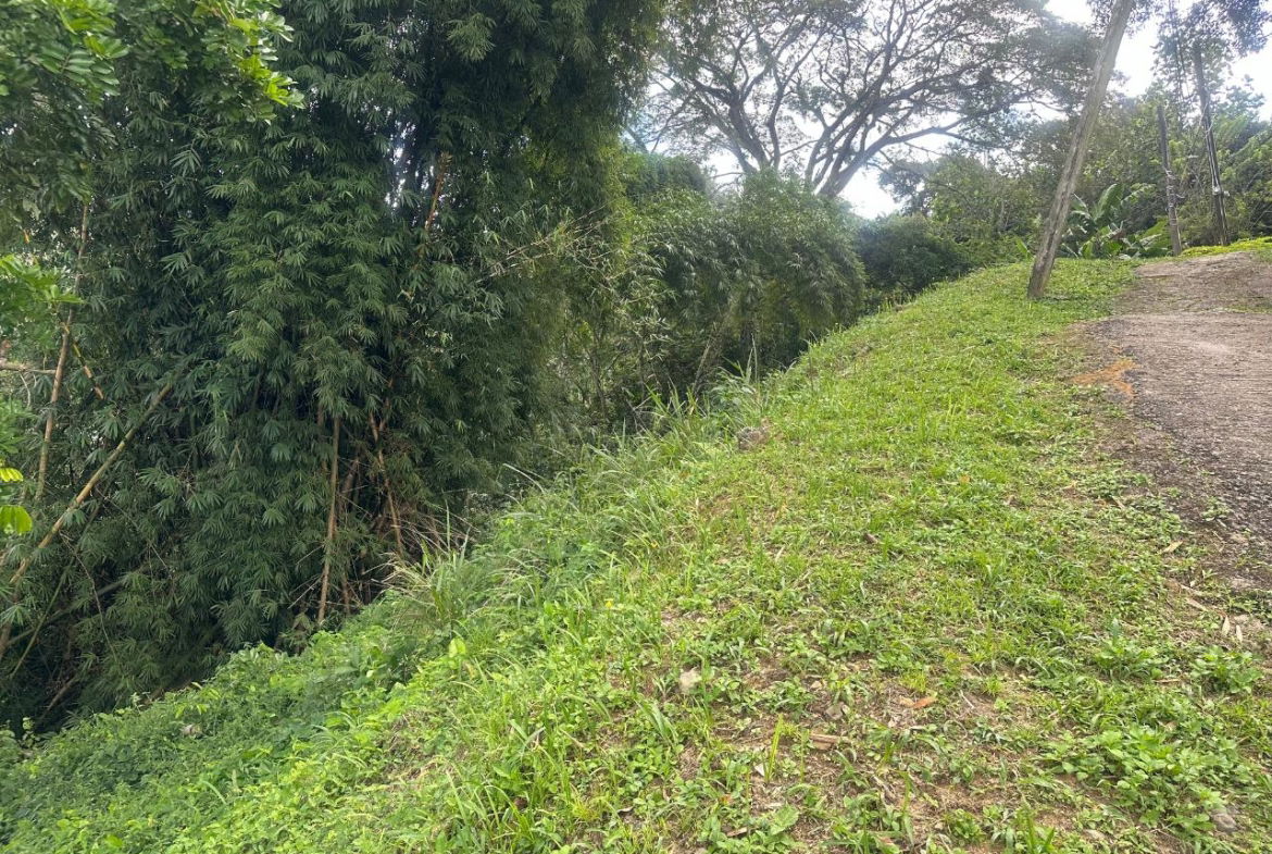 Second image of 82 Golden Spring in GOLDEN SPRING, St. Andrew, Jamaica - property is For Sale