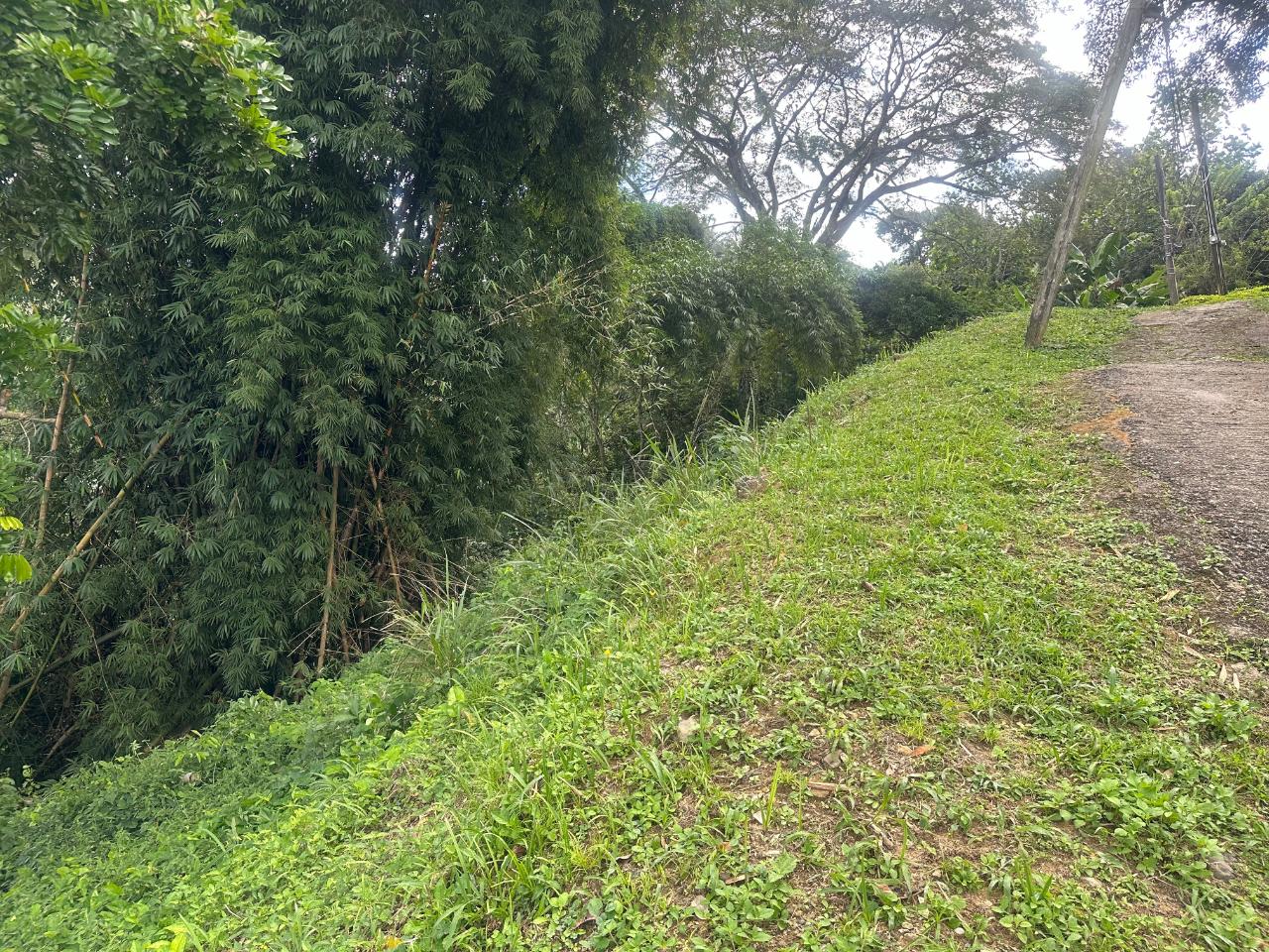 2.6-Acres-of-Prime-Residential-Development-Land-for-Sale-in-St.-Andrew-Jamaica Second image of 82 Golden Spring in GOLDEN SPRING, St. Andrew, Jamaica - property is For Sale
