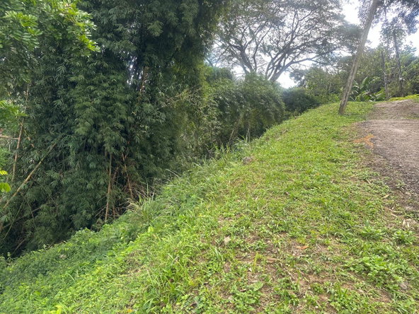 Second image of 82 Golden Spring in GOLDEN SPRING, St. Andrew, Jamaica - property is For Sale